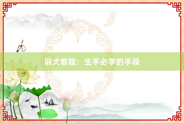 训犬教程：生手必学的手段