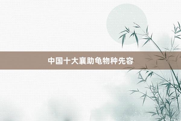中国十大襄助龟物种先容